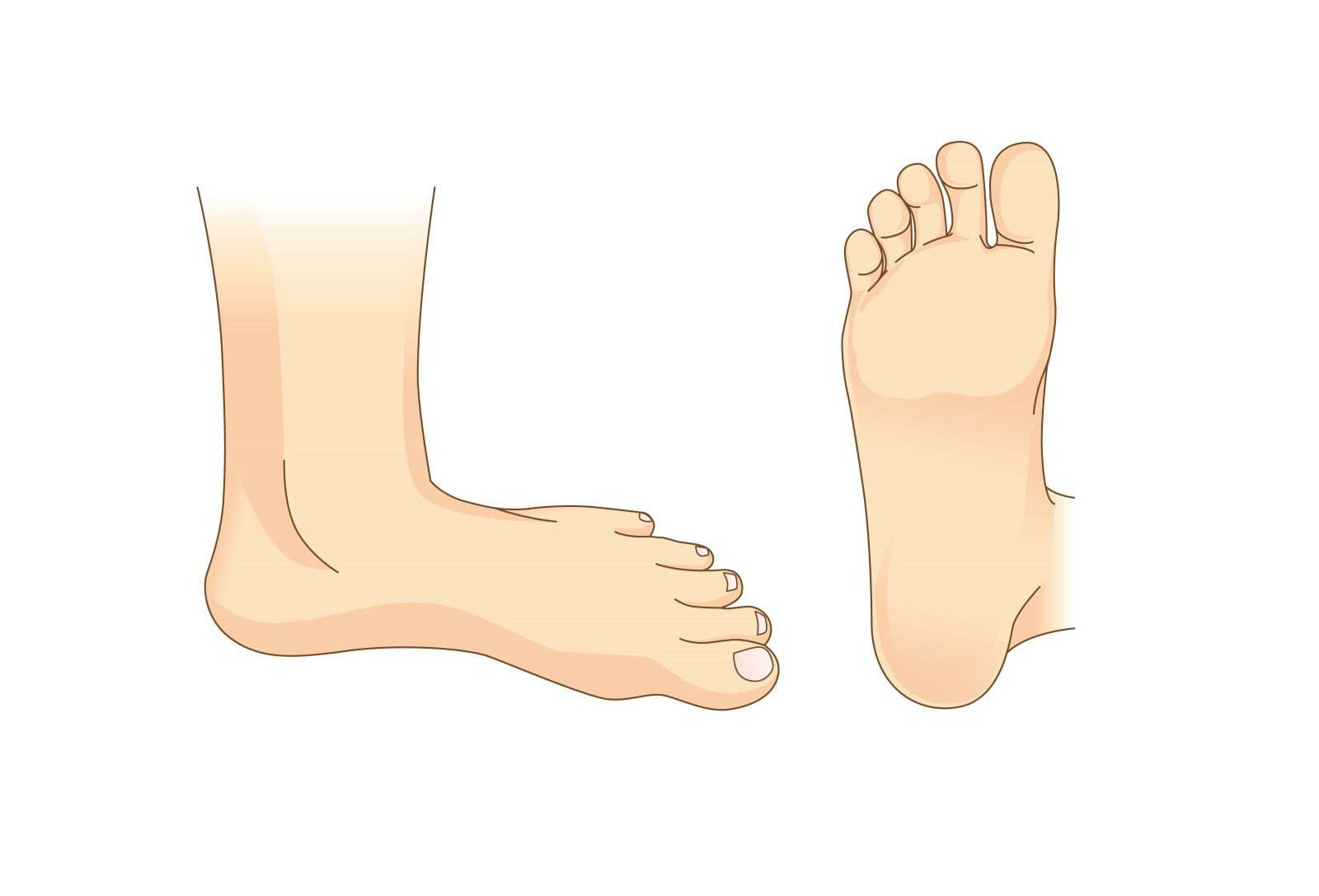 Foot side. Стопы ног вектор. Стопа вид сбоку. Мультяшные ноги. Векторное изображение нога стопа.